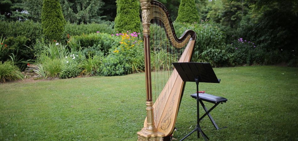 Comment bien préparer votre harpe