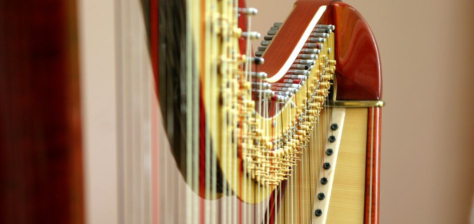 Pourquoi entretenir sa harpe